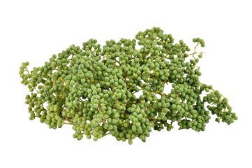 Zanthozylum limonella Alston on transparent png