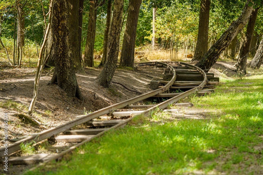 Poster train track winding through a forest on the rails in an area with tall trees