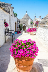 Pink flowers in front of white houses in Alberobello, Italy