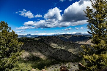 Scenic view of rolling green hills surrounded by tall pine trees against a cloudy blue sky