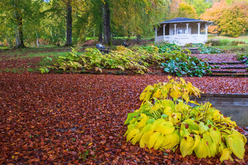 Pavilion in a park at autumn