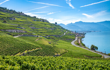 Landscape of Lavaux vineyards at Lake Geneva. Switzerland