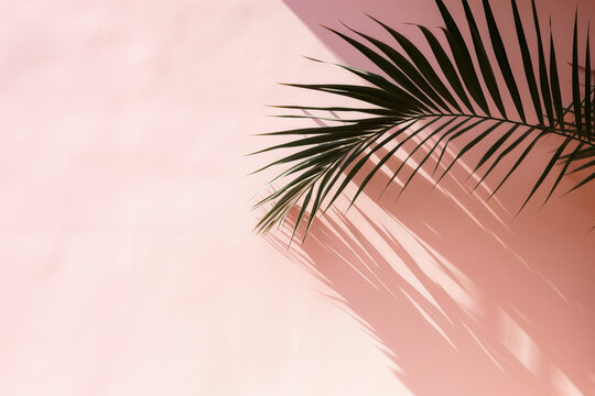 Pink wall with palm tree and shadow from palm leaves. Ai generation