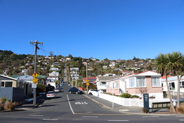Obraz premium Baldwin street, the world's steepest street
