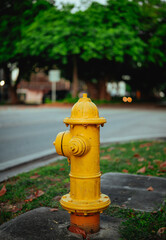 yellow fire hydrant in the street coral way 