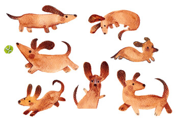 set of sausage dog watercolor