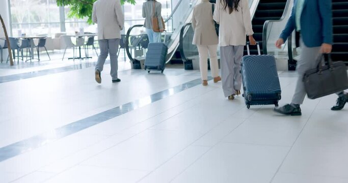 Airport, travel and the back of business people on an escalator for international transport with luggage. Corporate, world and professional employees walking with suitcase for a trip or journey