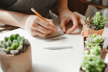 Labeling succulent plants in pots for sale. Woman lorist writing titles for houseplants in own...