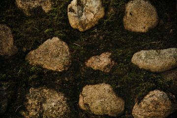 Massive wall background with green plants Mossy rustic stone texture Rough stone wall of building Green moss on stone Old masonry stonewall pattern