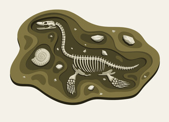 Elasmosaurus Dinosaurs Archaeology Fossil Cartoon Discover in the Ground