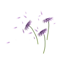 3d illustration of flower and leaf isolated on transparent background