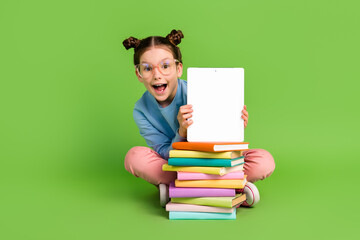 Full size photo of impressed schoolgirl dressed blue sweatshirt sit with book presenting display isolated on green color background