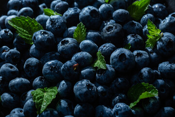Ripe blueberries close up. Blueberry macro