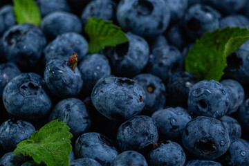 Ripe blueberries close up. Blueberry macro