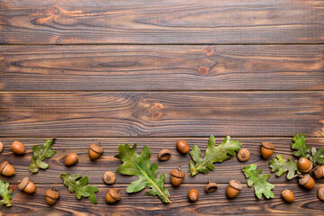 Branch with green oak tree leaves and acorns on colored background, close up top view