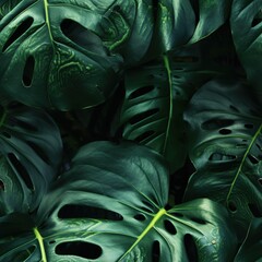 Seamless pattern with tropical monstera leaves. Exotic plants textile design or wrapping paper template. Herbal endless texture.