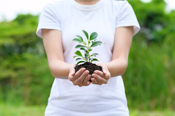 Close up woman hand holding plant , ecological sustainable , save earth concept