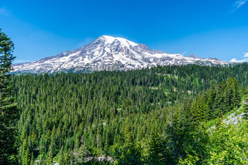 Mount Rainier In Summer 4