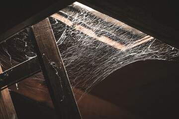 Close-up shot of a spider web on a ladder to the attic draped across the entrance