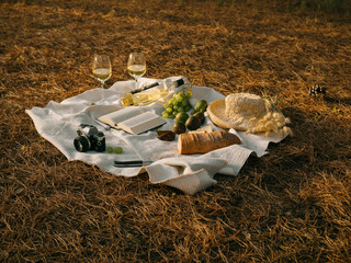 Horizontal shot of a Mediterranean picnic for two in a Sardinian pine forest. White wine, Italian...