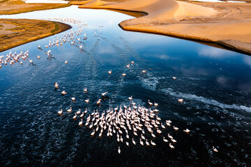 Desert scenery with saltwater lagoons full of beautiful flamingos. Namib-Nukluft National Park - Walvish Bay, Namibia