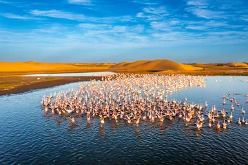 Desert scenery with saltwater lagoons full of beautiful flamingos. Namib-Nukluft National Park - Walvish Bay, Namibia © Radek