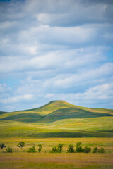 Idyllic setting of green grass and blue cloudy sky