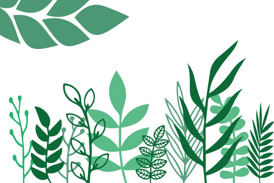vector poster with branches green leaves on white background