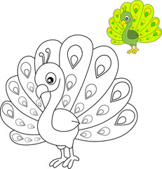 Peacock cartoon bird for coloring book page 