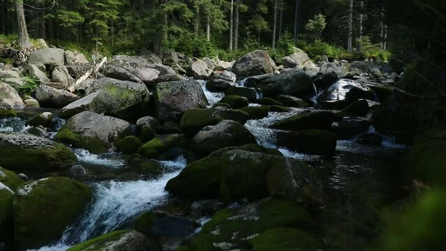Close-up slow-motion view of a streaming river flowing down over mossy rocks
