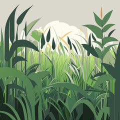Bamboo forest background