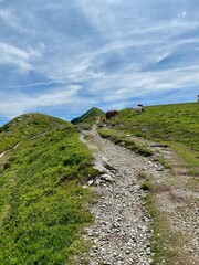 Herrliche ausblicke auf die Landschaft beim Stemmerkogel bei Saalbach-Hinterklemm