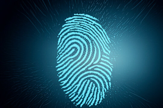 Fingerprints. Fingerprints digital. Dactyloscopy is a technique that allows the identification of people through the papillary ridges and the interpapillary grooves of the last phalanx of the fingers.