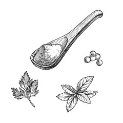 Vector hand-drawn set of classic herbs and wooden spoon with crushed seasonings isolated on white. Sketch of  parsley, basil and allspice with ground spices.