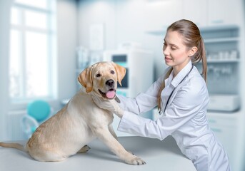 Beautiful Veterinarian Petting a Dog in Modern Clinic, AI generated image