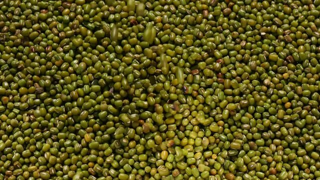 Uncooked dry green mung beans (Vigna radiata) falling