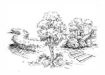 trees in the park pencil drawing for card illustration study