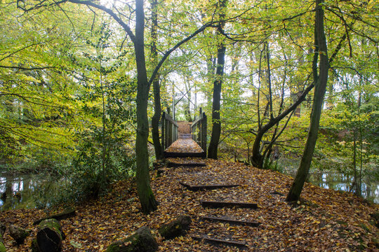 Path leading up to Jonas bridge in Gobions Wood Nature Reserve