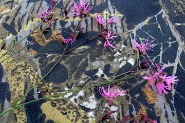 flowers on the paper