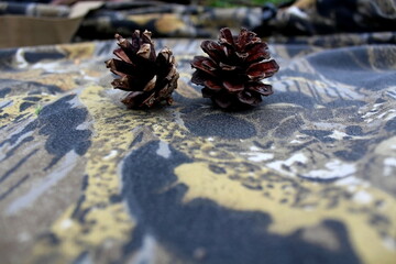 christmas decoration on a wooden background