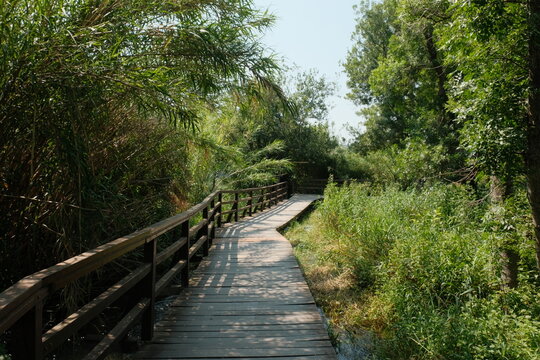 Pathway to Serenity: Wooden Walkway Amid Greenery in Krka National Park
