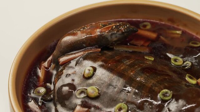Special Chinese cuisine Braised soft-shelled turtle with scallions
