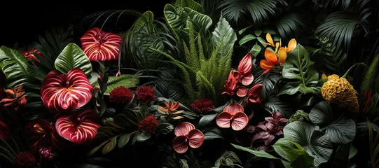  Panoramic botanical banner background  © nnattalli