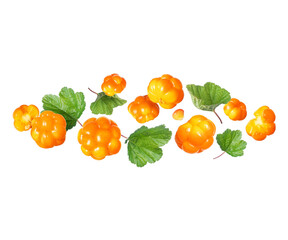 Ripe cloudberries with leaves closeup in the air isolated on white background