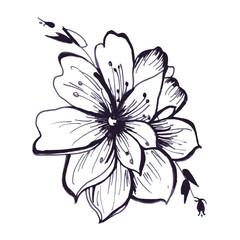 Flower hand drawn in black outline