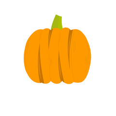 pumpkin isolated on white