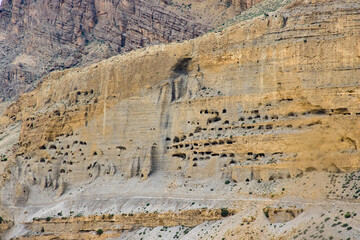 Vegetation And Flowers Alongside Desert