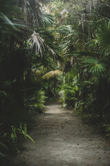 Yucatan peninsula in Mexico, 2023