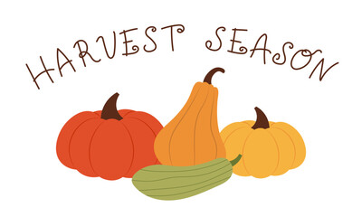 Pumpkins and zucchini with handwritten text. Vector illustration for postcard of the harvest season