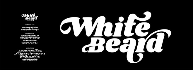 Elegant Font Uppercase Lowercase and Number. Classic Lettering Minimal Fashion Designs. Typography modern serif fonts regular decorative vintage concept. vector illustration